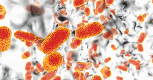 Dispositivo português promete diagnóstico bacteriano em tempo real