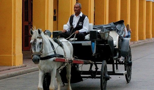 Cartagena pone fin a una era: prohíben los coches de tracción animal en el Centro Histórico