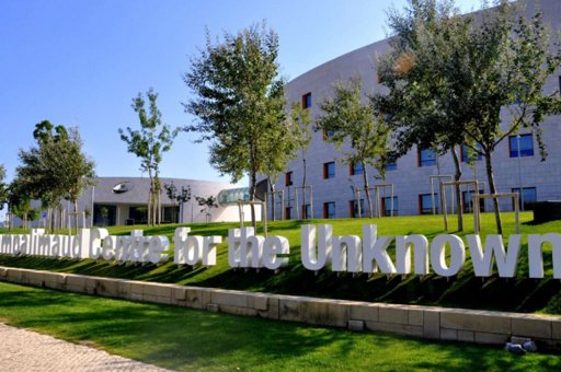 Neurocientistas Criam o Primeiro Mapa Cerebral Completo da Tomada de Decisão