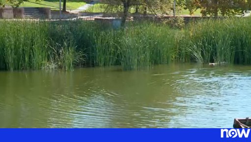 PJ investiga corpo de homem encontrado em lago em Évora