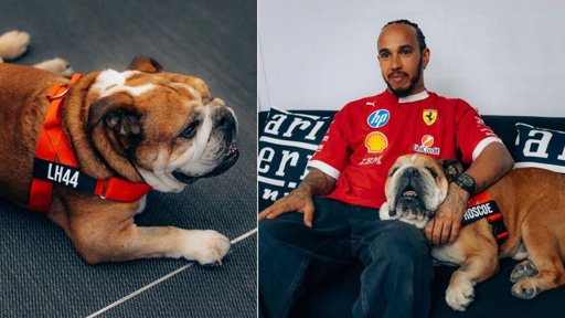 Lewis Hamilton despide a su perro Roscoe con emotivos mensajes
