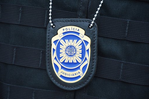 Detido por atear fogo florestal em Figueira de Castelo Rodrigo para renovar pastagens