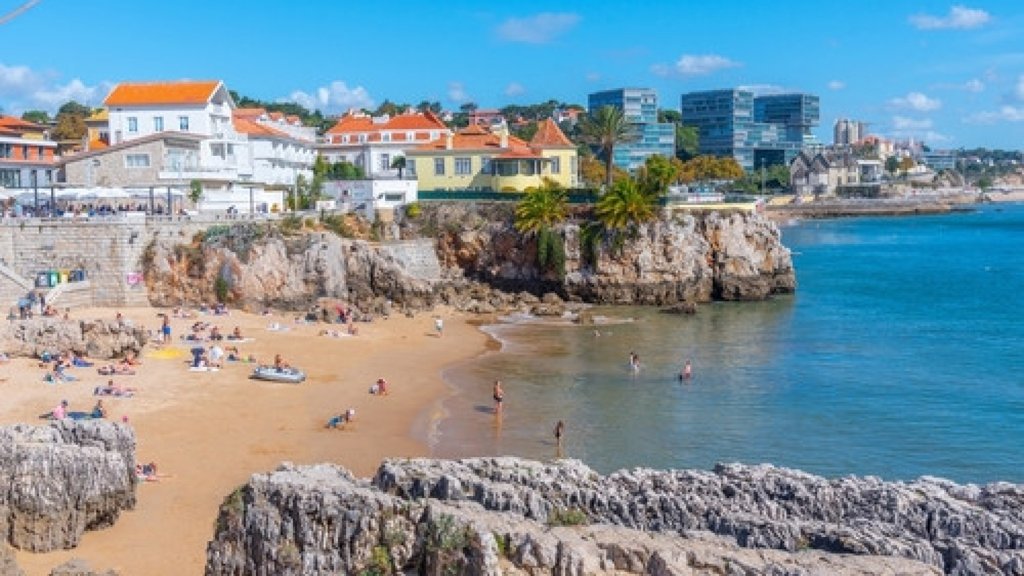 Estratégia Nacional para combater alga invasora que ameaça a costa portuguesa