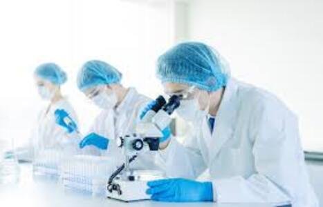 Cientistas criam rim "universal" compatível com todos os tipos sanguíneos