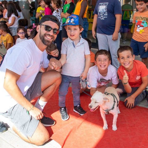 Celebrações do Dia Mundial do Animal Fomentam a Consciencialização e a Adoção