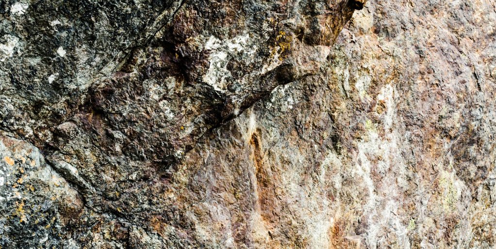 Hominídeos Primitivos Revelam Planeamento e Coexistência Complexa