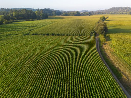 Portugal Subscreve Declaração para Reforçar Resposta da UE a Riscos na Agricultura