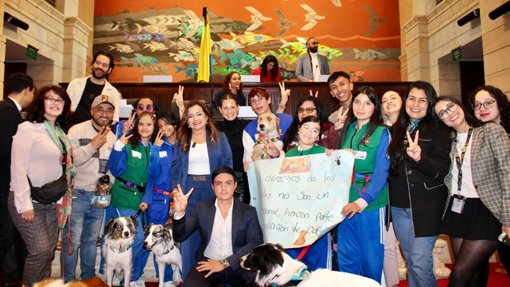 Aprobada la "Ley Empatía": la educación sobre bienestar animal será obligatoria en los colegios de Colombia