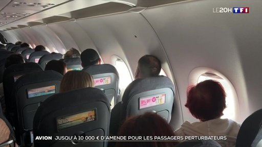 Passagers perturbateurs en avion : le gouvernement durcit les sanctions avec des amendes jusqu'à 10 000 euros