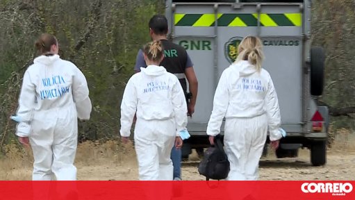 Operação 'Safra Justa': Rede de exploração de imigrantes com polícias detida em Beja
