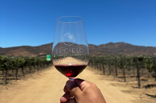 Guía Gastronómica del Valle de Guadalupe: La Joya Culinaria de Ensenada