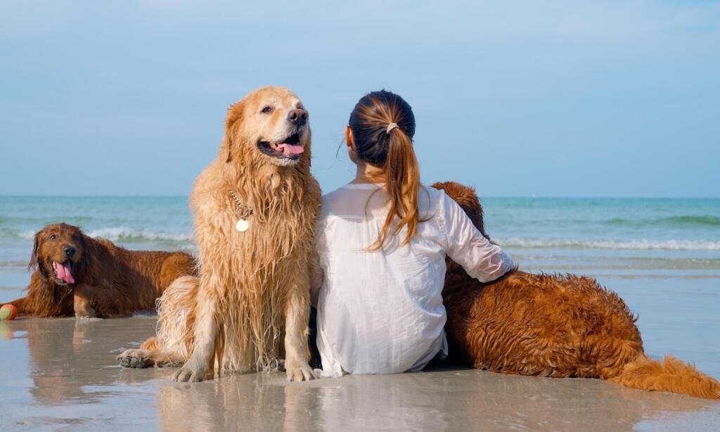 Montebelo Hotels & Resorts torna todas as suas unidades 100% 'pet friendly'