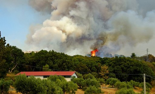 Apoios a Agricultores Afetados por Incêndios de 2024 Pagos na Totalidade