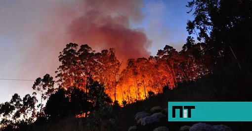 "Tornado de Fogo" Surpreende Durante Incêndios na Covilhã