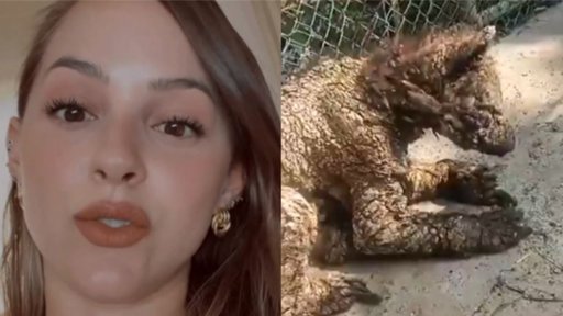 Polémica por osa en condiciones críticas en el zoológico La Pastora