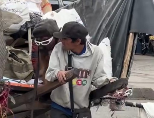 La inspiradora historia de ‘Firulais Reciclador’, el perro que ayuda a su dueño en Bogotá