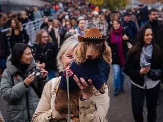 La "Grande Marche des Teckels", un événement insolite dans les rues de Paris