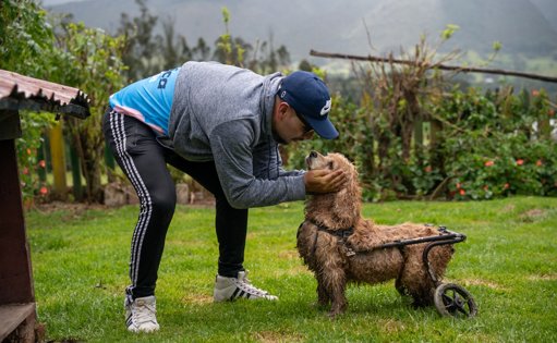 Lanzan la Academia Guaumor para fortalecer a fundaciones de bienestar animal