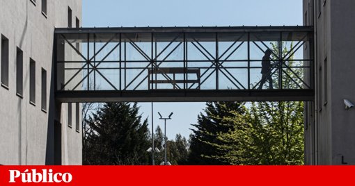 Violação do Regime de Exclusividade por Docentes Universitários