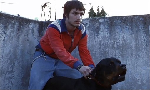 'Amores Perros' celebra su 25 aniversario con una función de gala en el Palacio de Bellas Artes