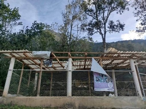 Frente Frío 13 y masa de aire ártico provocan bajas temperaturas, lluvias y suspensión de clases en varios estados