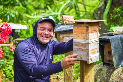 Familias Guardianas de Abejas Nativas Protegen el Páramo de Miraflores en Huila