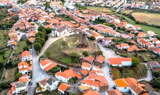 Mogadouro Planta 800 Oliveiras para Proteção Contra Incêndios e Produção de Azeite Local
