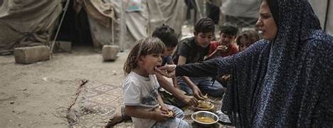 Crisis Humanitaria y Hambruna Declarada en Gaza