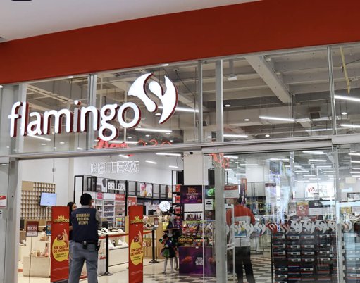 Almacenes Flamingo culmina con éxito su proceso de recuperación empresarial