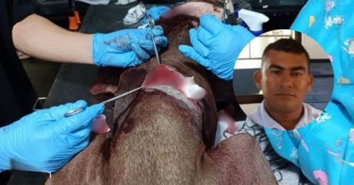 Indignación en Puerto Libertador por presunto ataque con machete a un perro