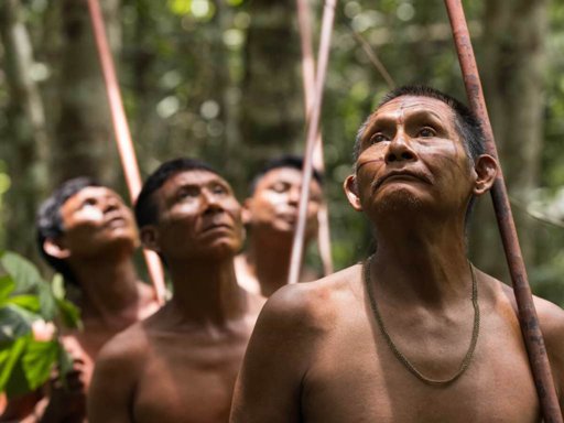 Denuncian instrumentalización del pueblo indígena Nukak en proyectos de bonos de carbono