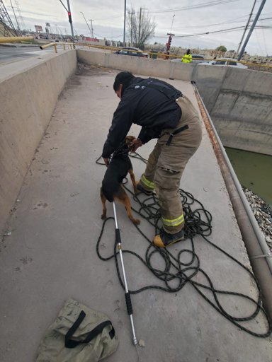 Heroico rescate: Bomberos de Ciudad Juárez salvan a perro atrapado en el Dren 2A