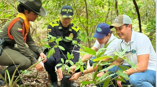 Corpamag impulsa la restauración ecológica con la siembra de más de 30.000 árboles en el Magdalena