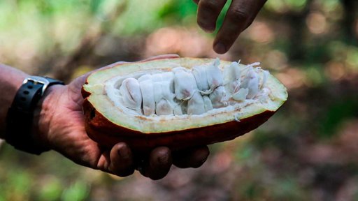 Ministerio de Agricultura solicita presupuesto de $4,1 billones para 2026