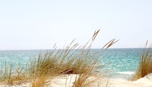 Previsão de Tempo Quente e Seco Aumenta Risco de Incêndio Rural