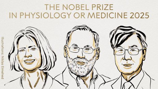 Nobel de Medicina 2025: premiado el descubrimiento de los "guardianes" del sistema inmunitario