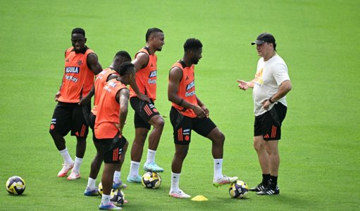 Estado de forma y rol en el contexto de la Selección Colombia