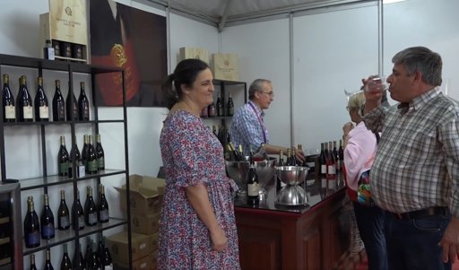 Festa do Vinho do Dão em Nelas atrai Primeiro-Ministro e grandes nomes da música