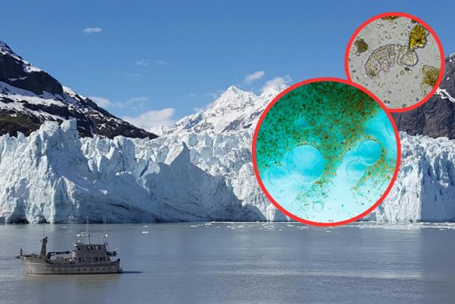 Científicos reviven microbios de 40.000 años atrapados en el permafrost de Alaska