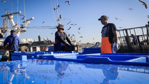 Aviso de Interdição da Pesca do Tamboril
