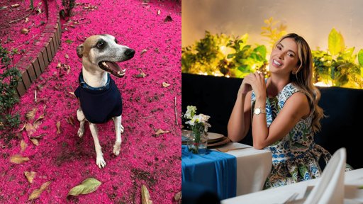 Escándalo en la dinastía Díaz: audios filtrados, acusaciones de infidelidad y acciones legales