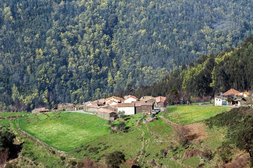 Solidariedade Pós-Incêndios: Municípios Isentam Faturas de Água a Populações Afetadas
