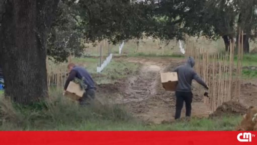 Operação "Safra Justa" expõe rede de exploração de imigrantes com envolvimento de militares da GNR