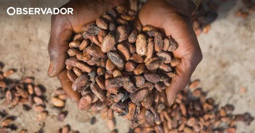 Grupo espanhol Lacasa adquire empresa em Marrocos para reforçar expansão internacional