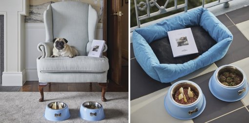 Setor Hoteleiro Português Aposta no Crescente Mercado "Pet-Friendly"