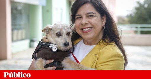 PAN Anuncia Liberdade de Voto na Primeira Volta das Presidenciais