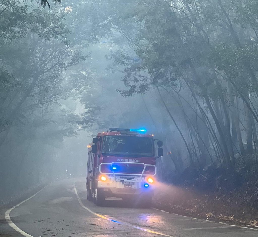 Autoridades Detêm Vários Suspeitos por Incêndios Florestais em Diversos Concelhos