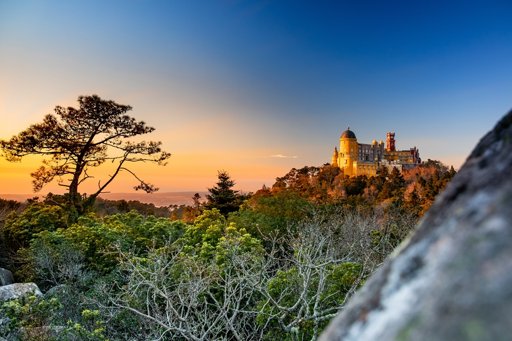 Parques de Sintra Vence Prémio Mundial de Conservação pelo 13.º Ano Consecutivo