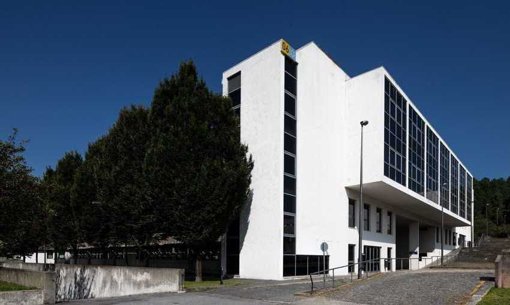 Descoberto Mecanismo de Sobrevivência de Fungo Intestinal