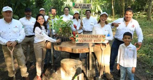 Jornada Histórica de Reforestación Une a la Ciudadanía en Tabasco